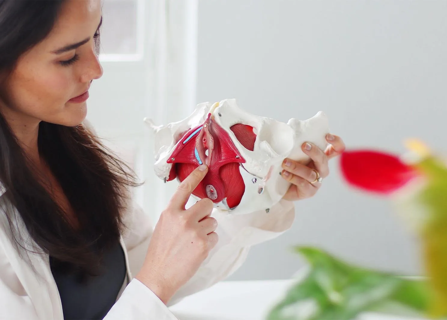 An image of Dr. Kylie looking at a skeletal model of the human pelvis